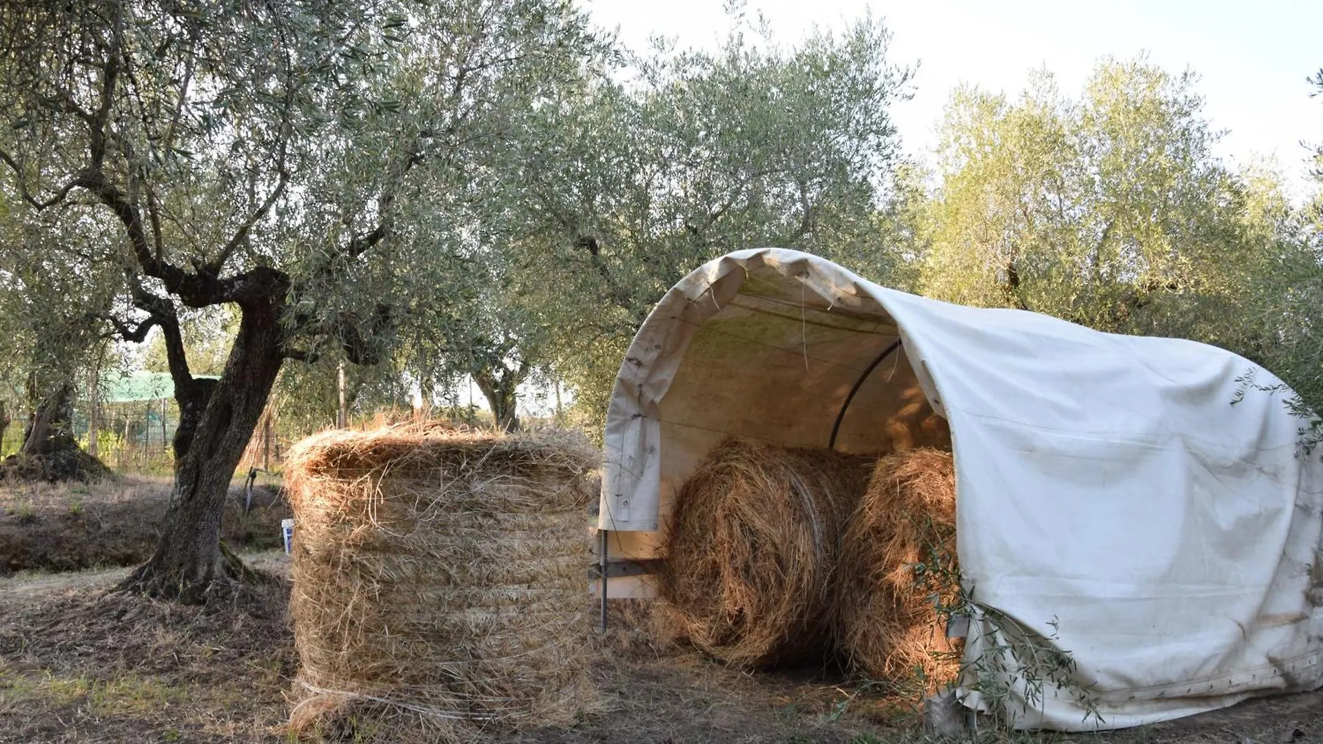 Hotel Da Poldino Borgo a Buggiano 0*,