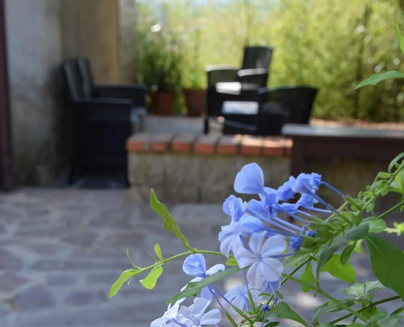 Hotel Da Poldino Borgo a Buggiano