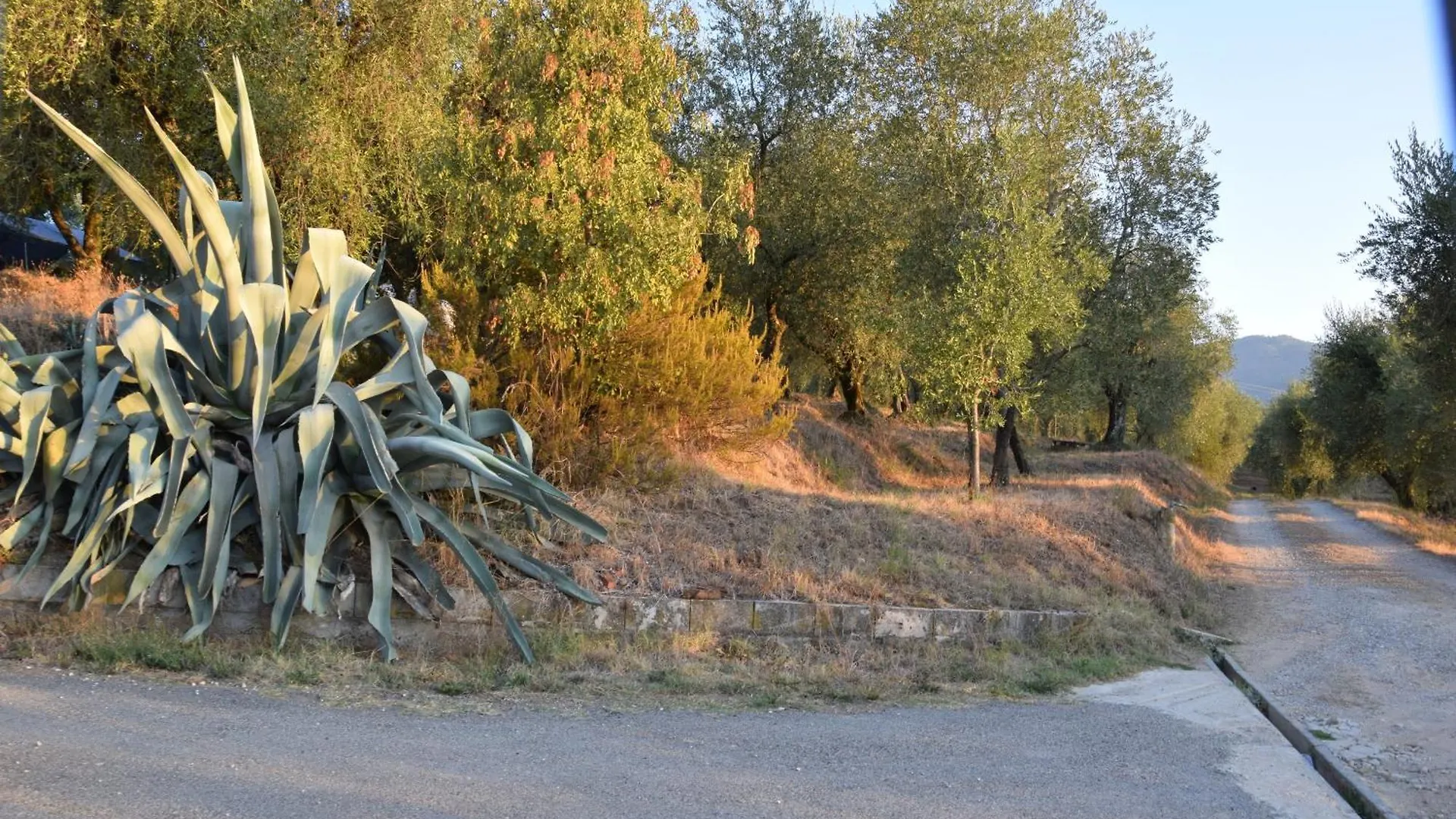 Hotel Da Poldino Borgo a Buggiano