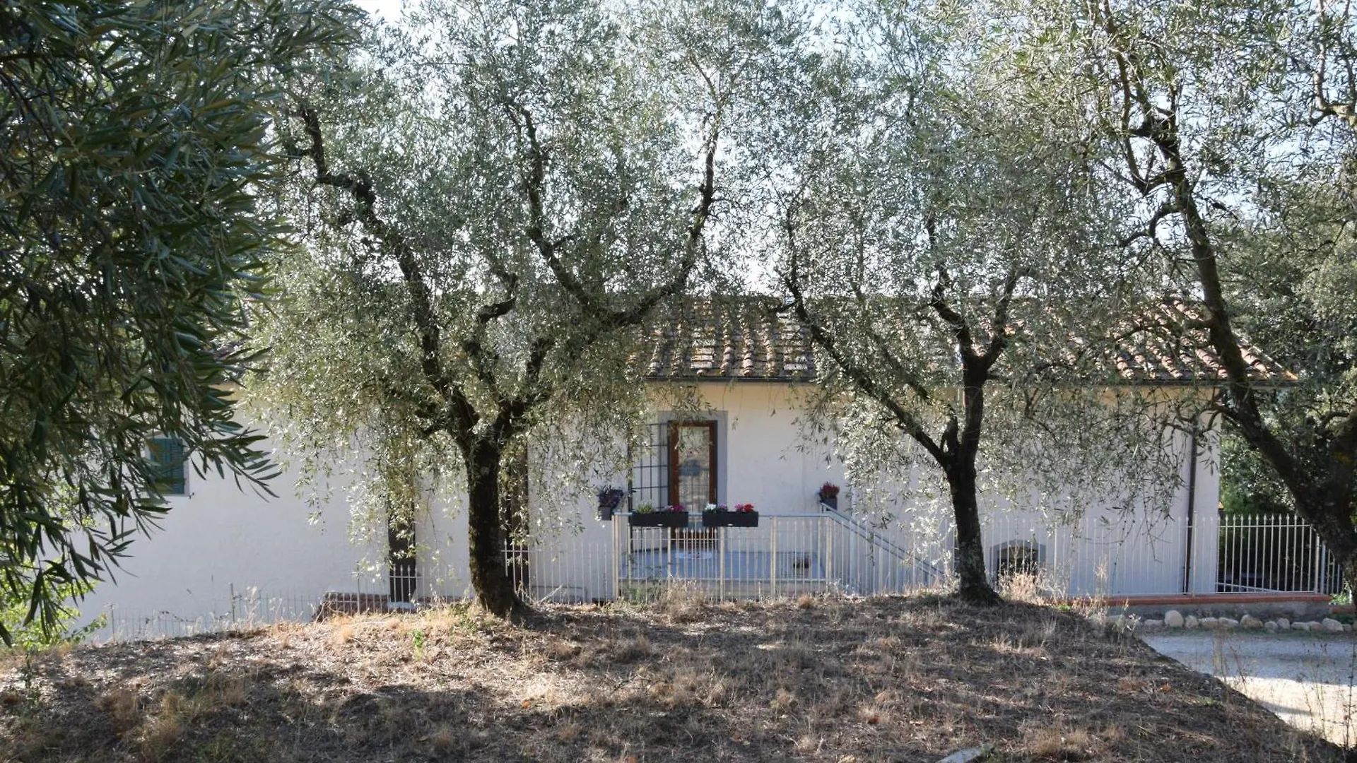 Hotel Da Poldino Borgo a Buggiano Penzion