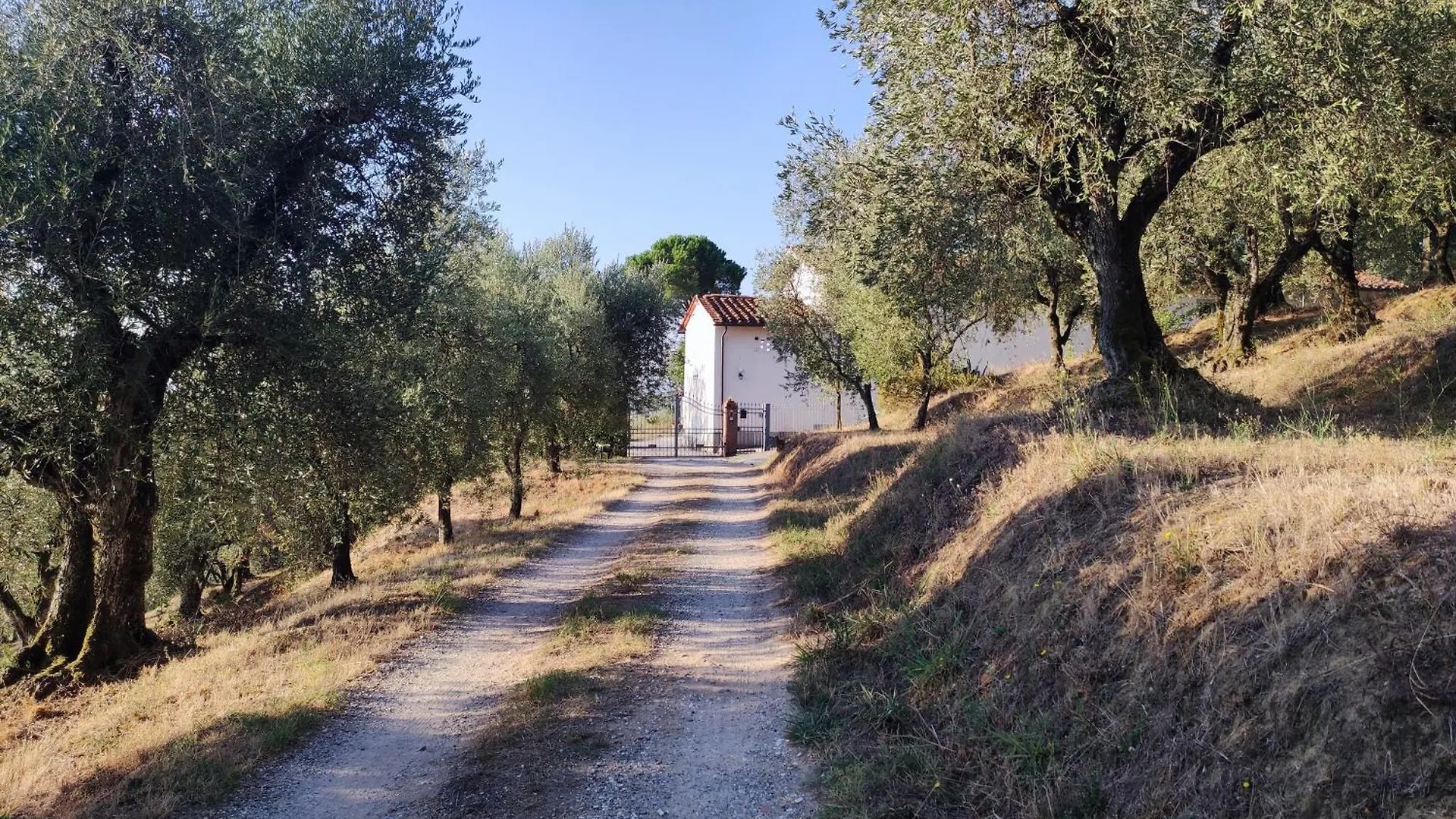 Hotel Da Poldino Borgo a Buggiano